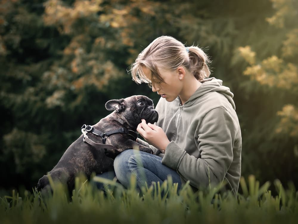 How to stop reverse sneezing in dogs