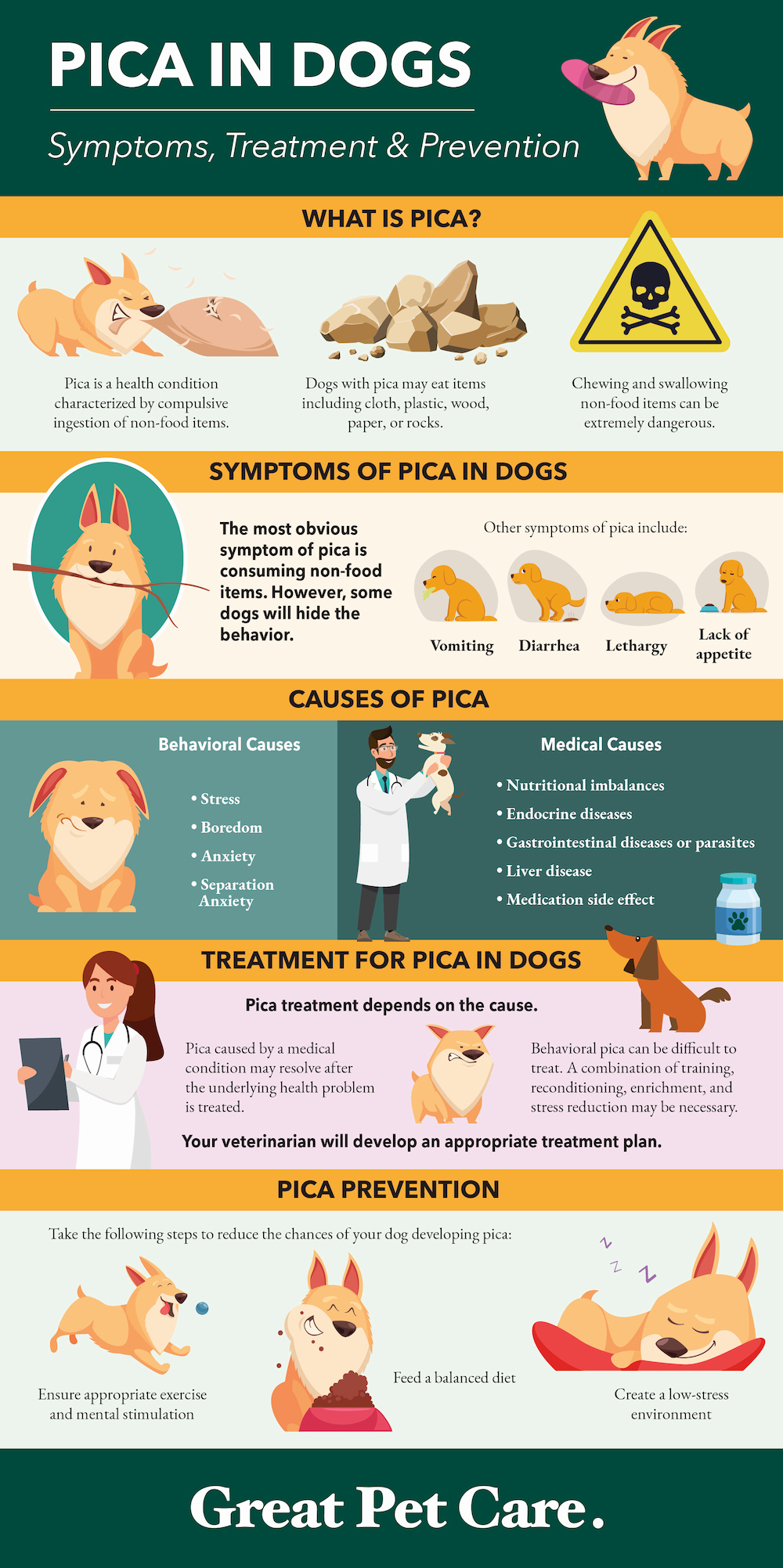 Pica In Dogs Infographic