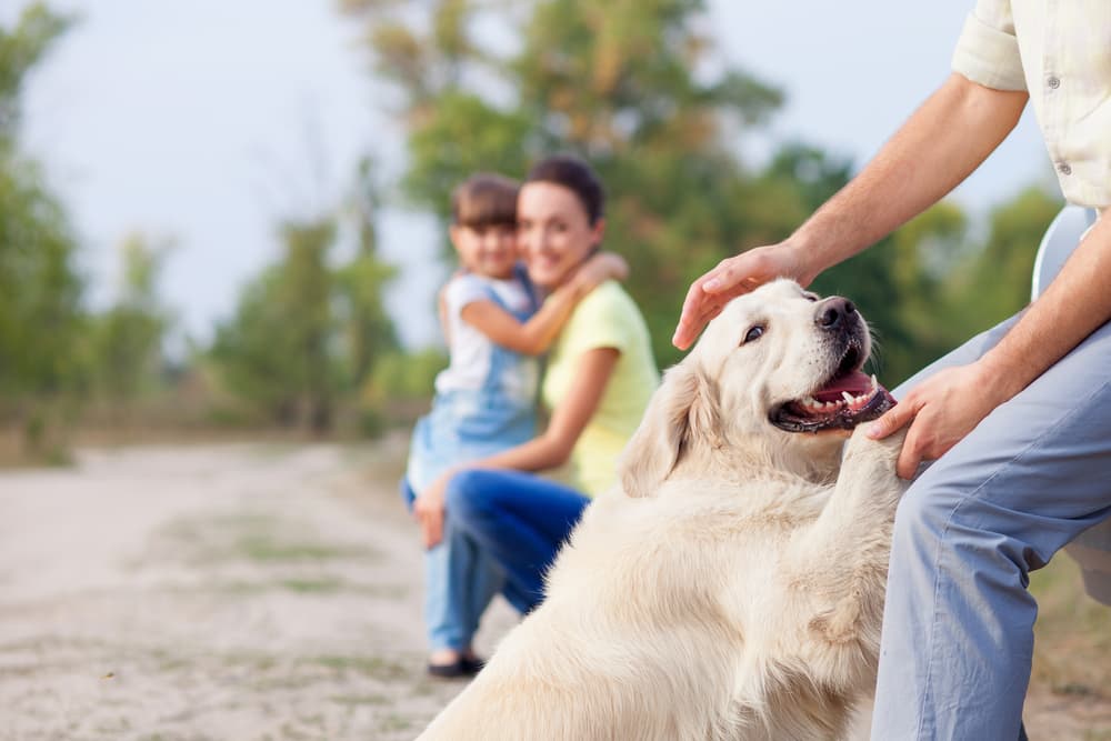 Family playing with family dog