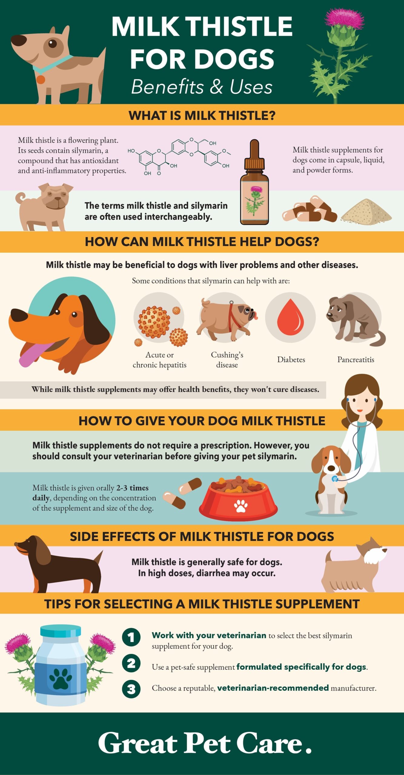 milk thistle for dogs infographic