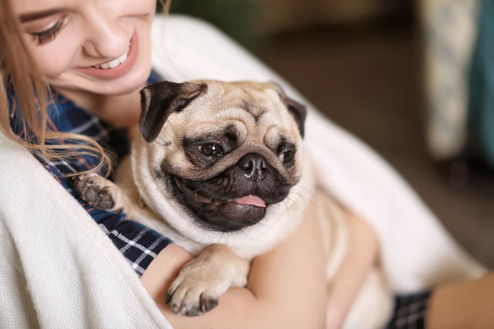 woman holding pug