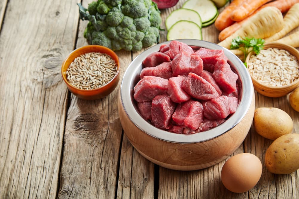 beef protein for dogs