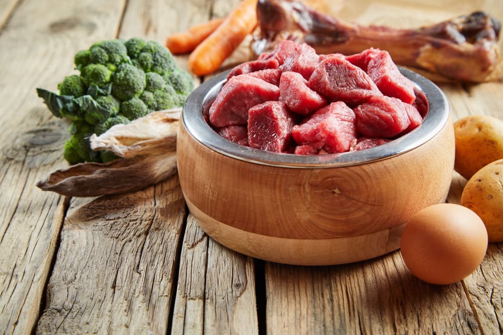 Raw food diet for dogs
