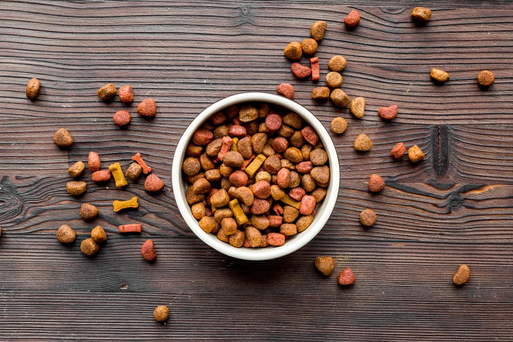 Dog food on table