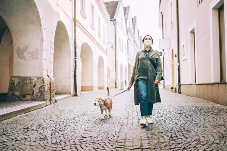 covid-19-and-pets