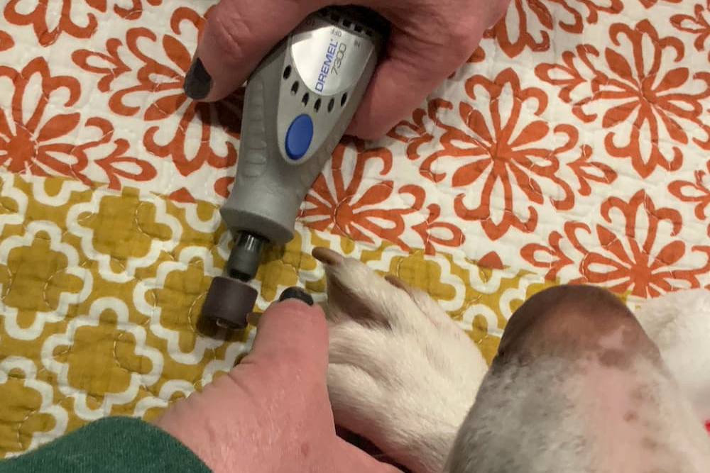 Picture of dog nail grinder