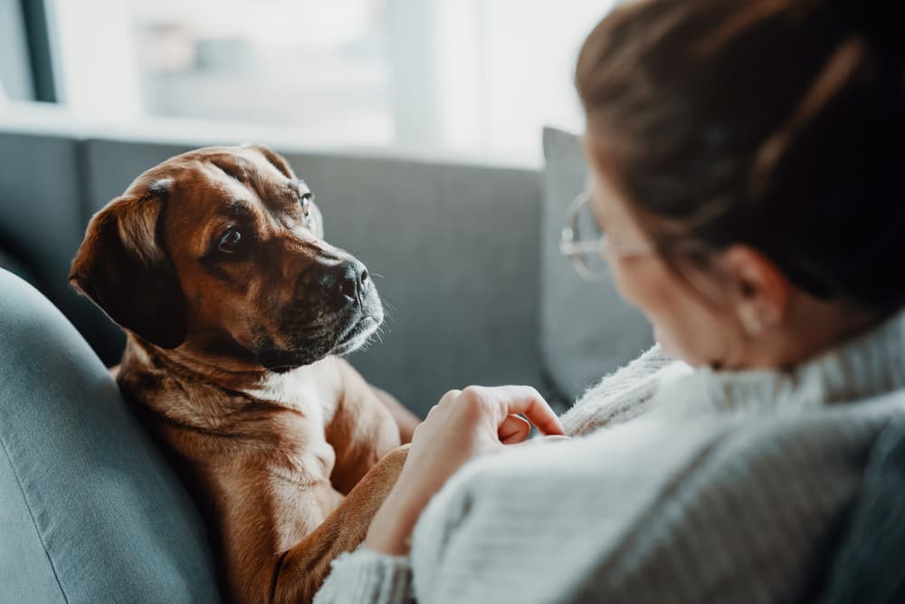 Woman staying home with dog