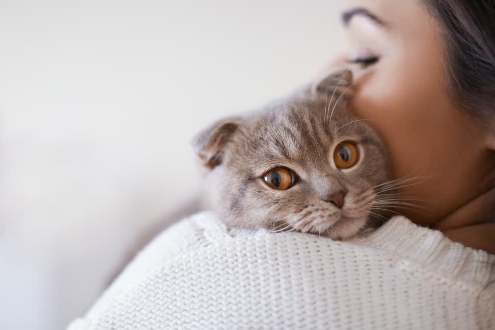 Woman hugging a cat