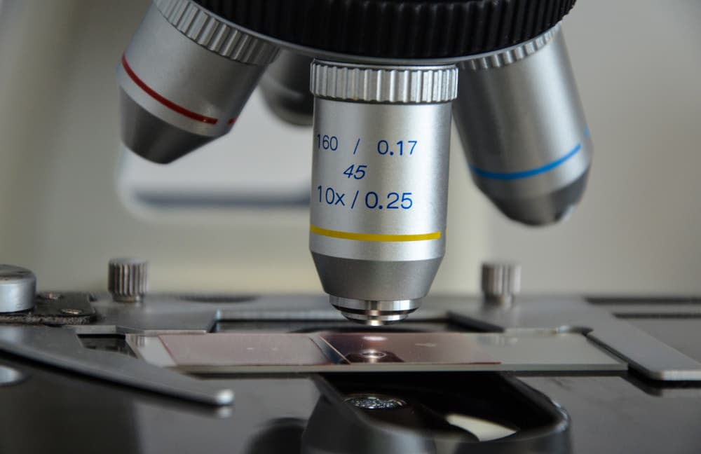 Closeup of microscope in veterinary clinic