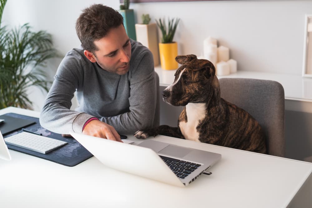 Man talking to dog