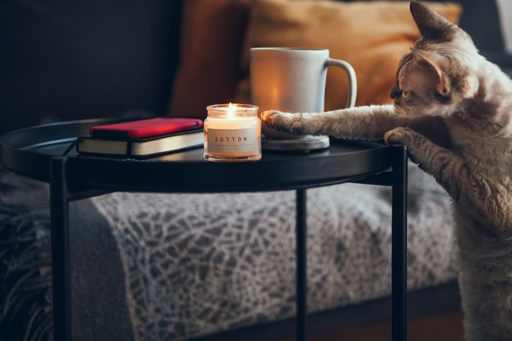 cat batting at candle