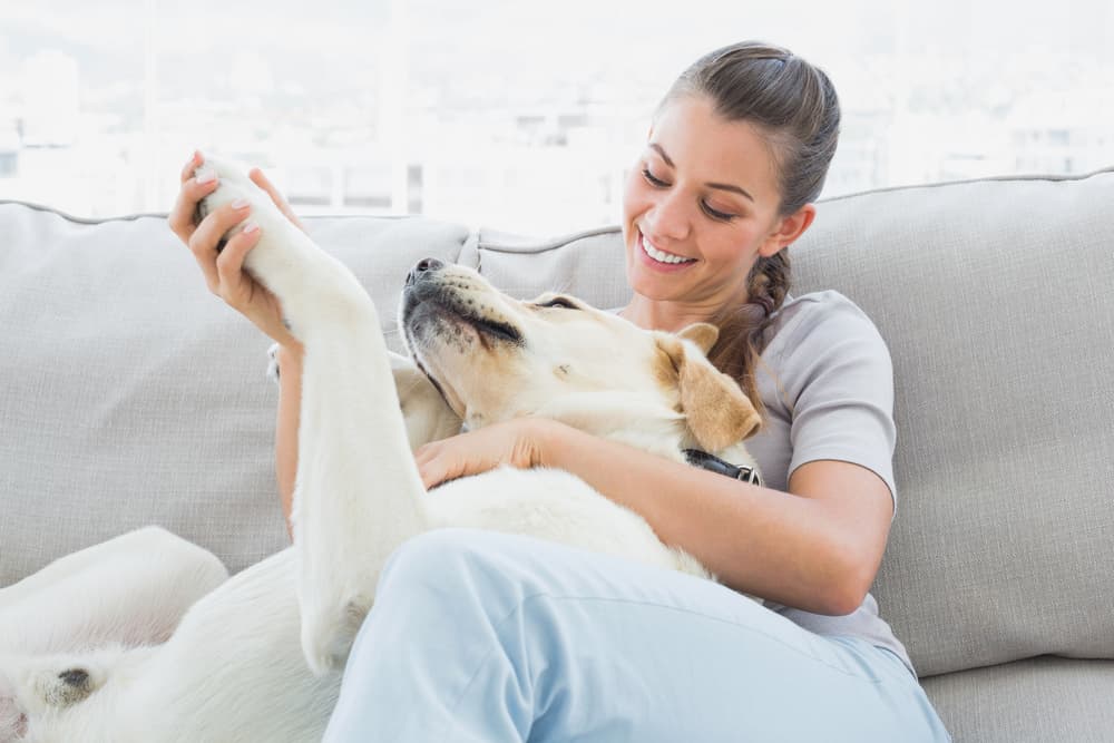 woman giving dog massage at home
