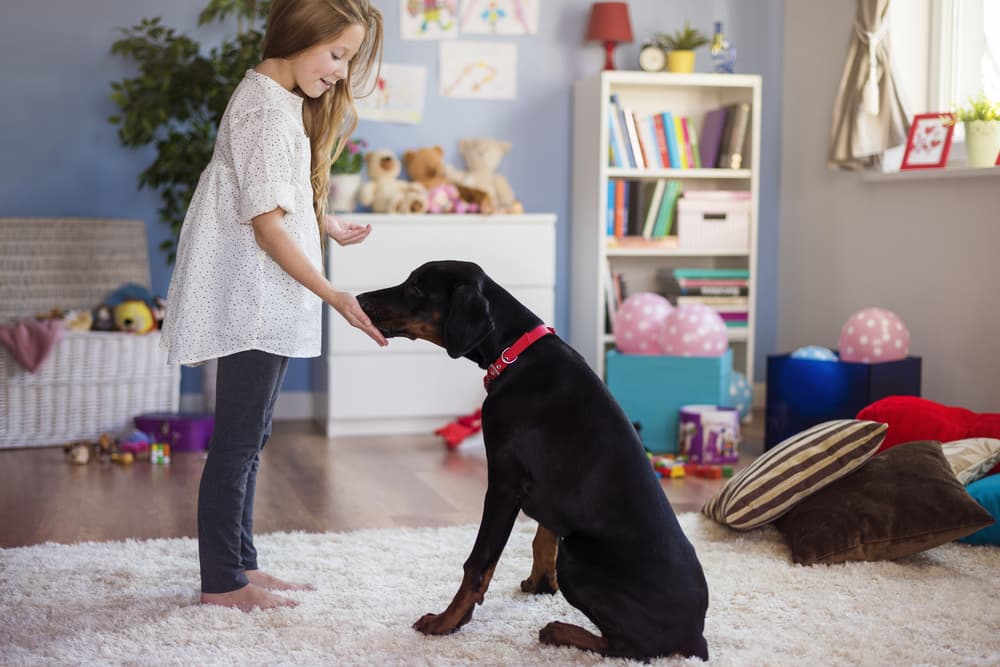 girl teaching dog training