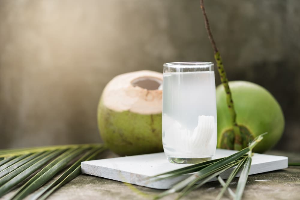 Risks of coconut oil for dogs