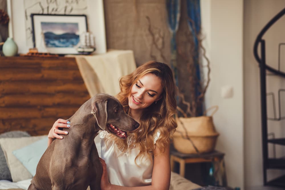 Woman letting dog come to her