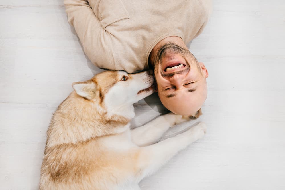 man lying on floor with dog