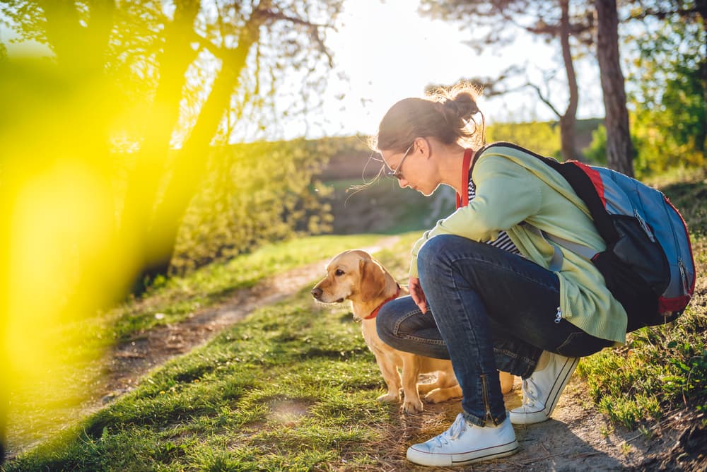 Owner outdoors checking dog for tick