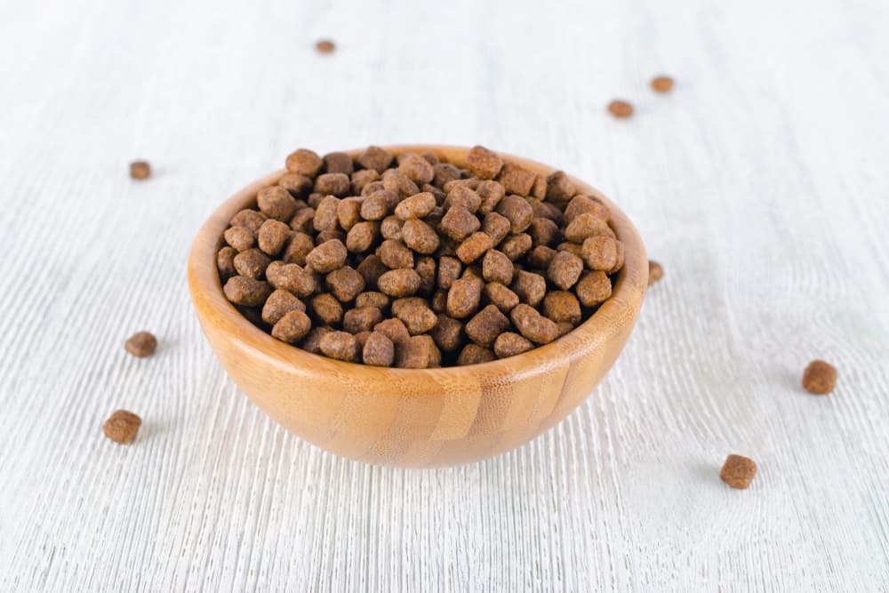 Dog food in a bowl