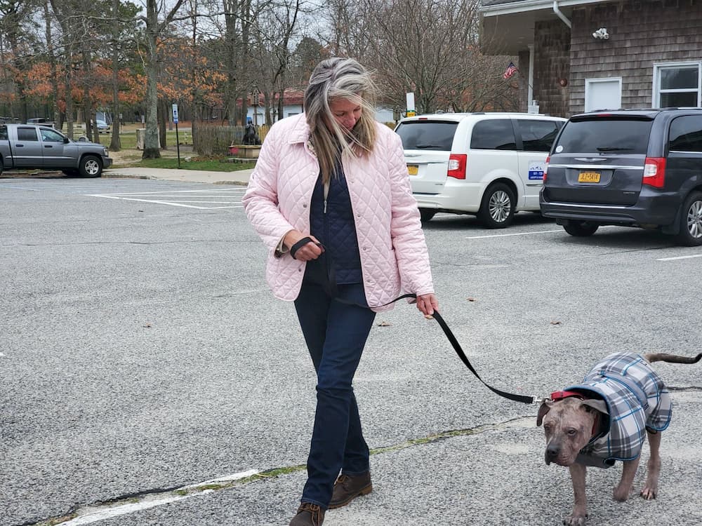 Walking a foster dog