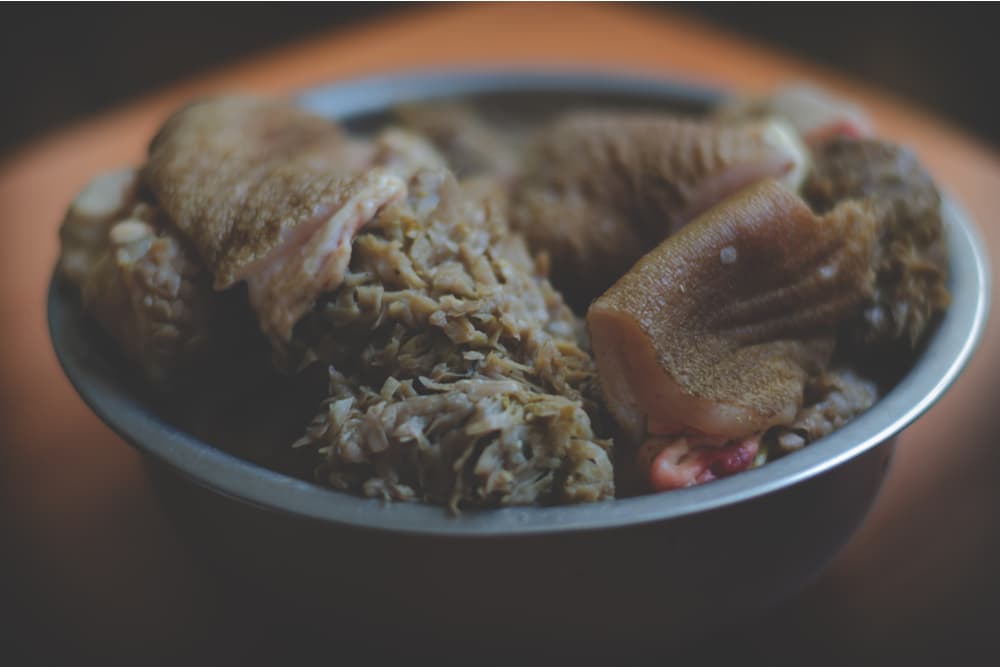 Tripe in a dog bowl