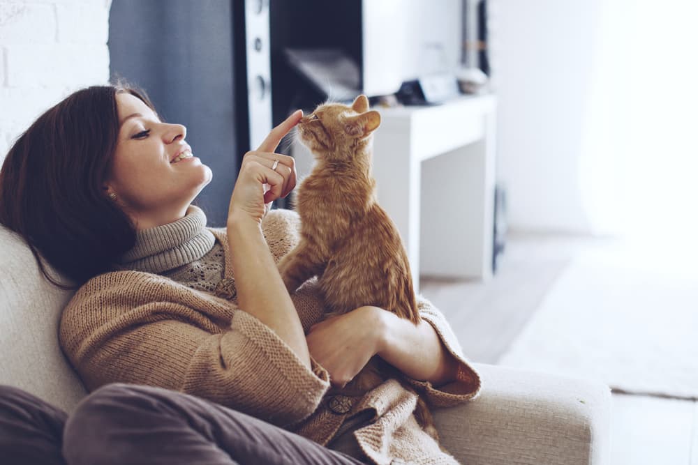 Cat and owner on couch