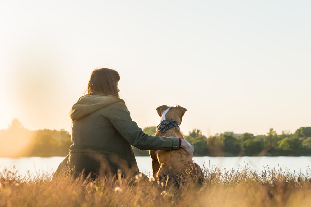 Dog and owner sitting in high grass after walk