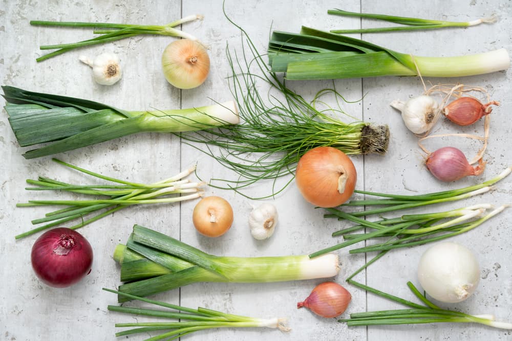 Leeks, onions, garlic laid flat on table