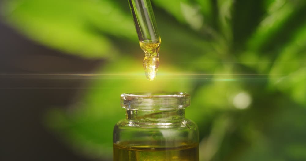 cbd-oil-pets