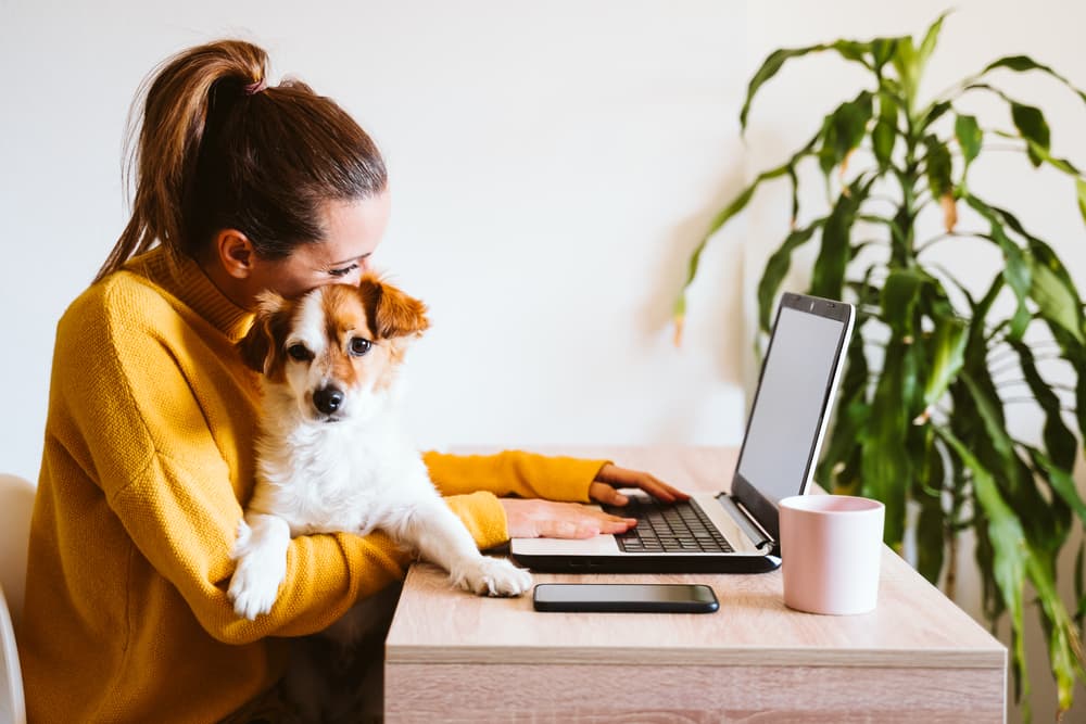 Woman hugging dog at computer
