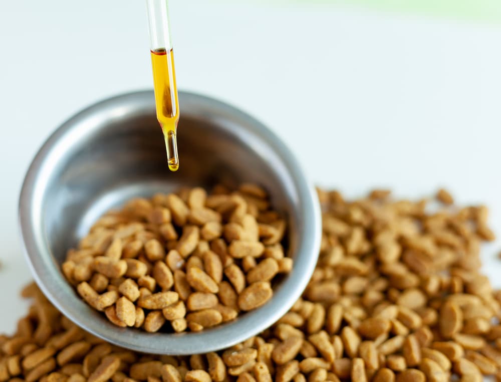 cbd-dropper-food