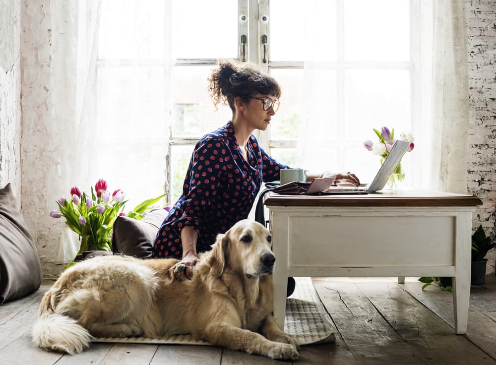 Woman sitting with senior dog