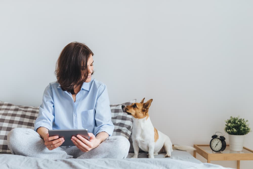 woman researching cbd pet products