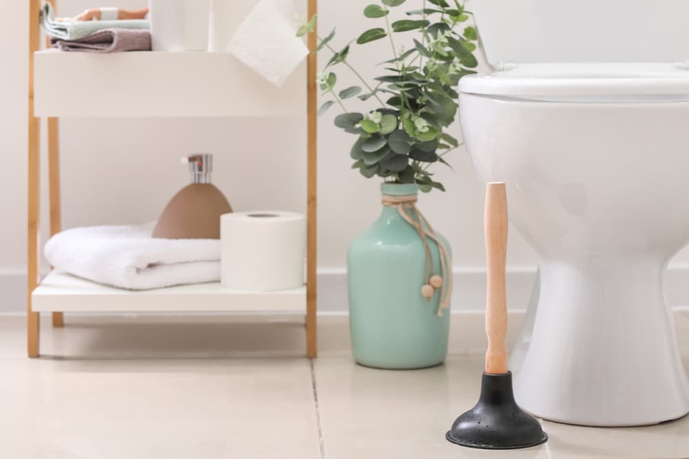 Plunger next to toilet