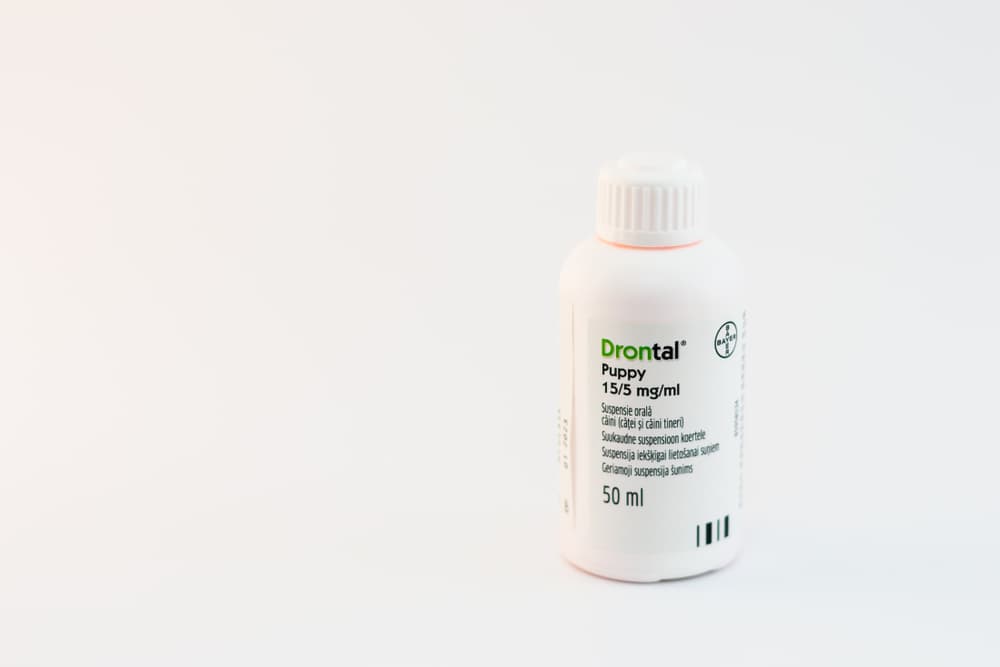 Prescription Droncit on table