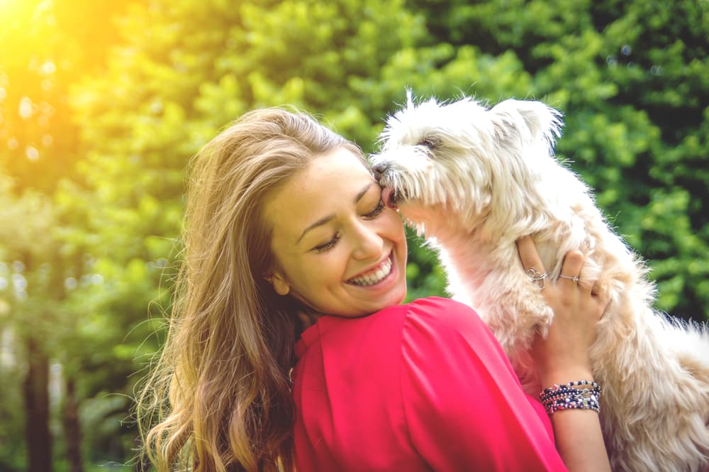 Dog licking woman on the face