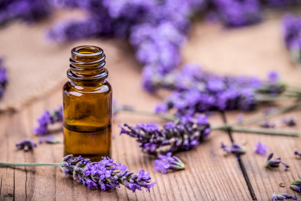 Lavender oil and dried lavender on a wooden table