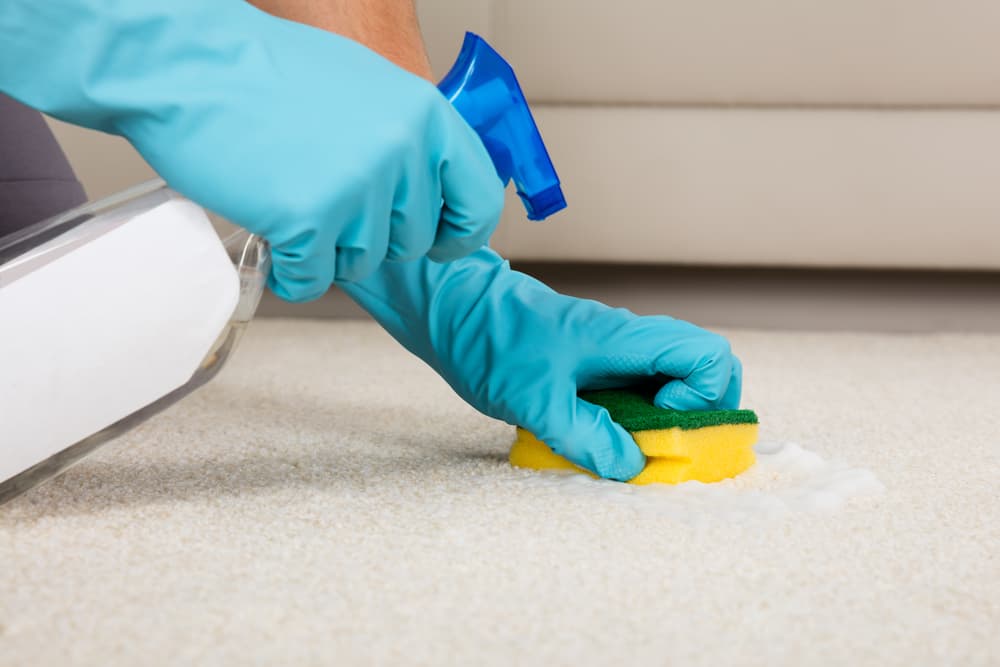 Person rubbing a stain on the carpet