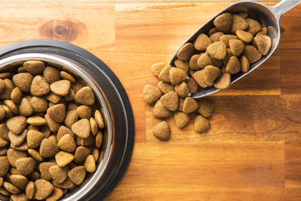 Dog food scoop next to dog food bowl