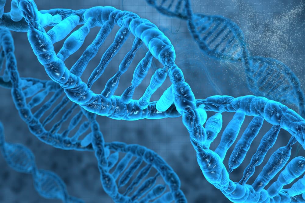 Strand of DNA