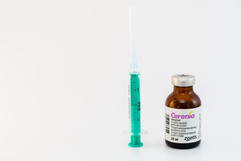 Cerenia injectable dosage