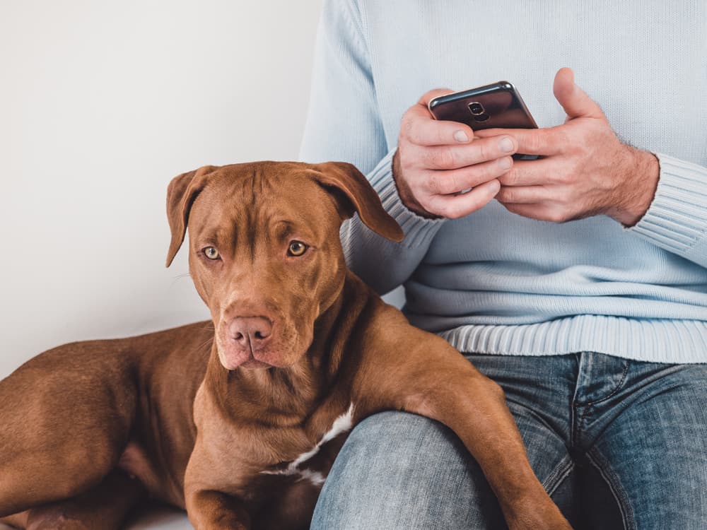pet owner calling pet emergency clinic