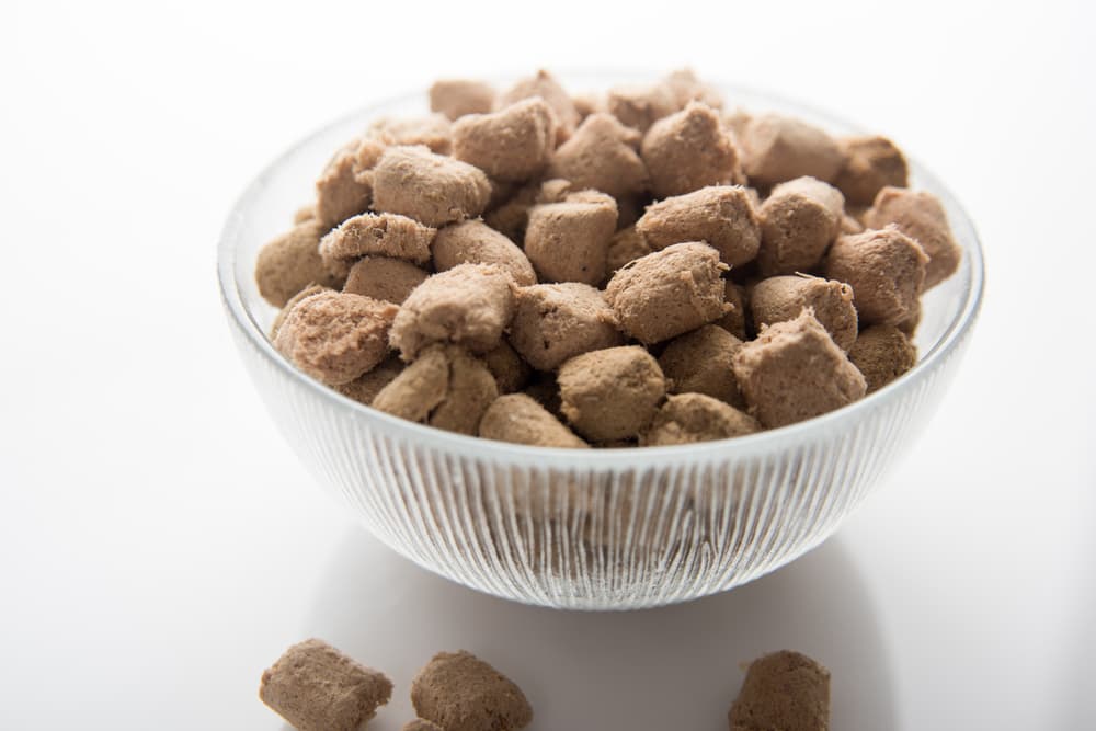 Clear bowl of freeze-dried dog food