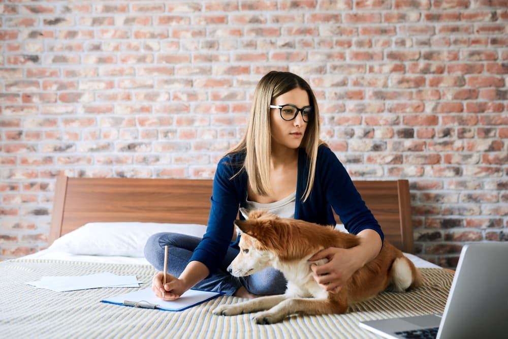 Woman reading computer screen with dog