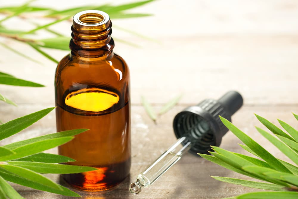 Tea tree oil in a vial near leaves