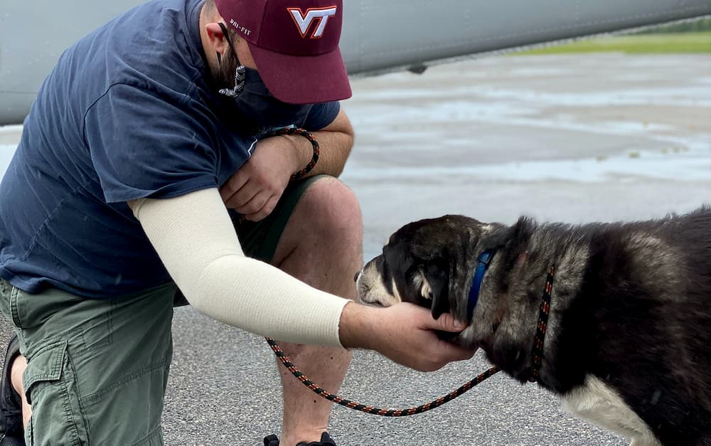 Iraq Rescue Mission Reunites U.S. Service Members With Beloved Pets