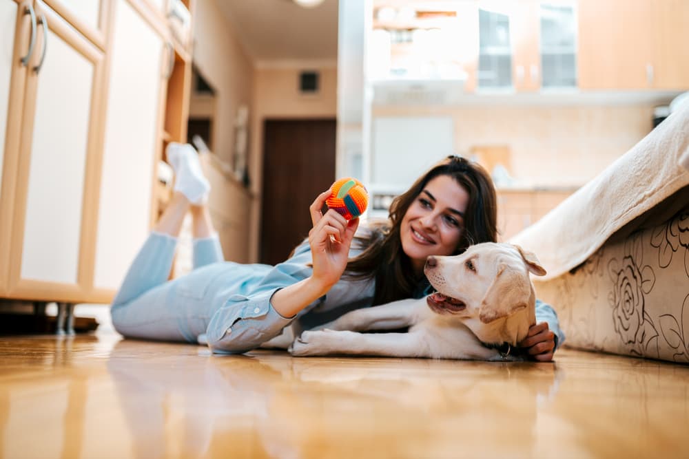 Woman at home playing with dog