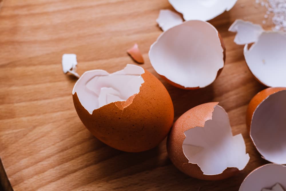 Egg shells on table