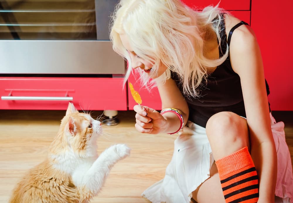 Cat pawing at lollipop