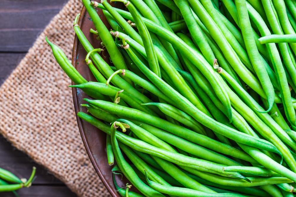 Close up of green beans, one of many sources of fiber for dogs