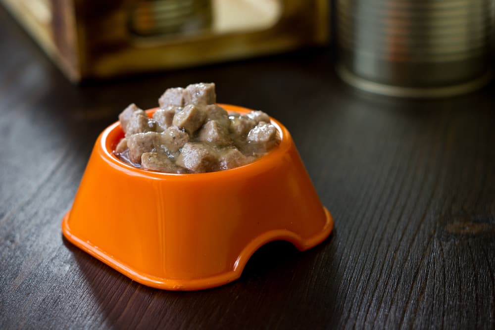 Wet dog food in a bowl